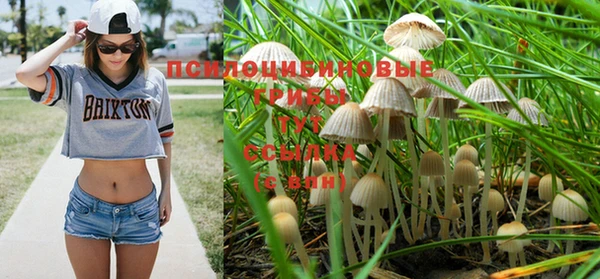 стафф Медногорск
