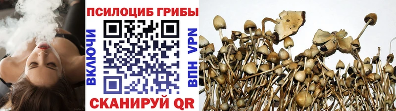 Галлюциногенные грибы GOLDEN TEACHER  Павловск 