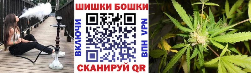 Бошки Шишки SATIVA & INDICA  Павловск 